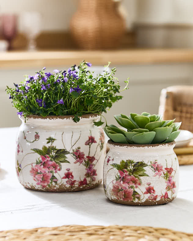 Pink Lily Planter
