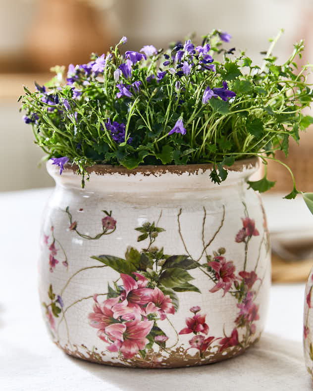 Pink Lily Planter