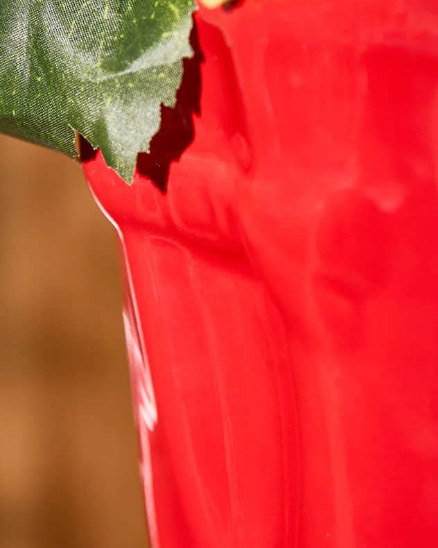 Personalised Large Red Welly Planter