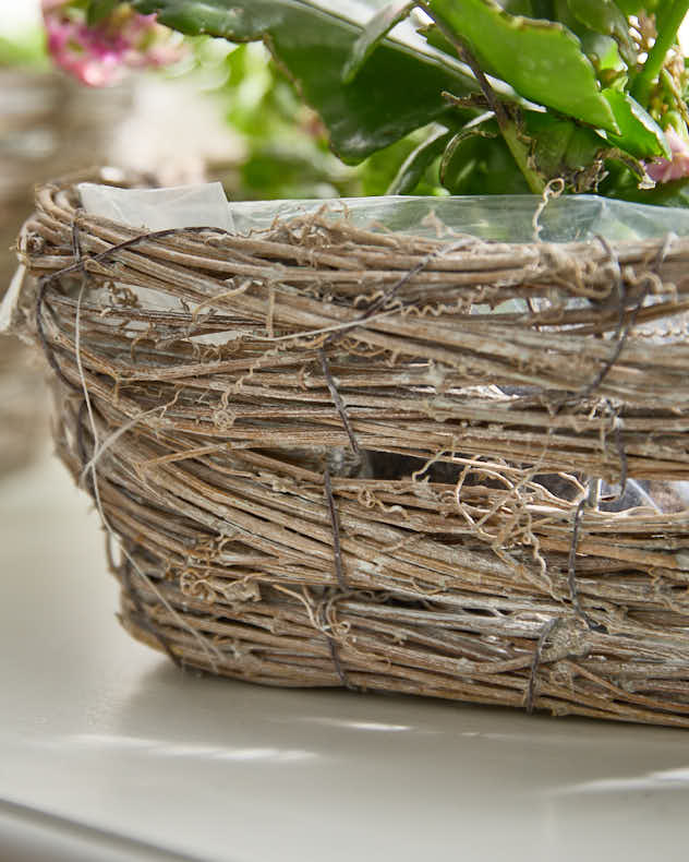 Set of 3 Wicker Heart Baskets