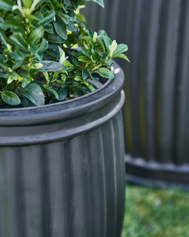 Ensemble de 4 jardinières nervurées Almada