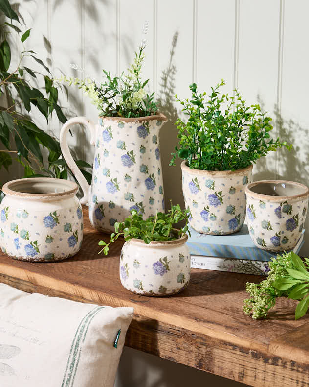 Blue Hydrangea Planter Collection