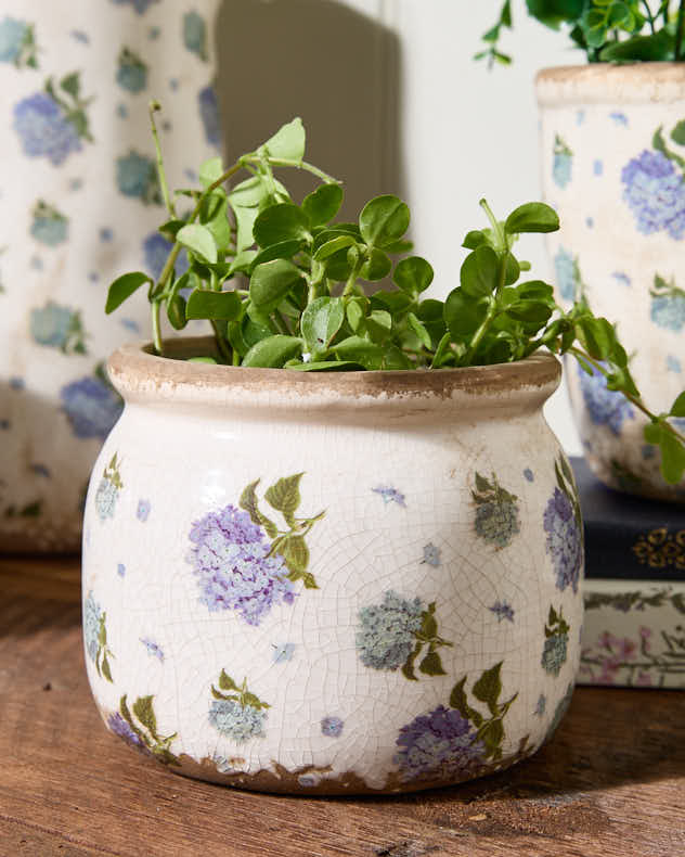 Blue Hydrangea Planter Collection