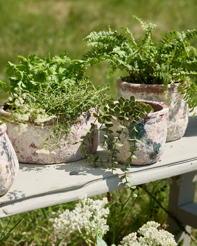 Green Terracotta Weathered Planters