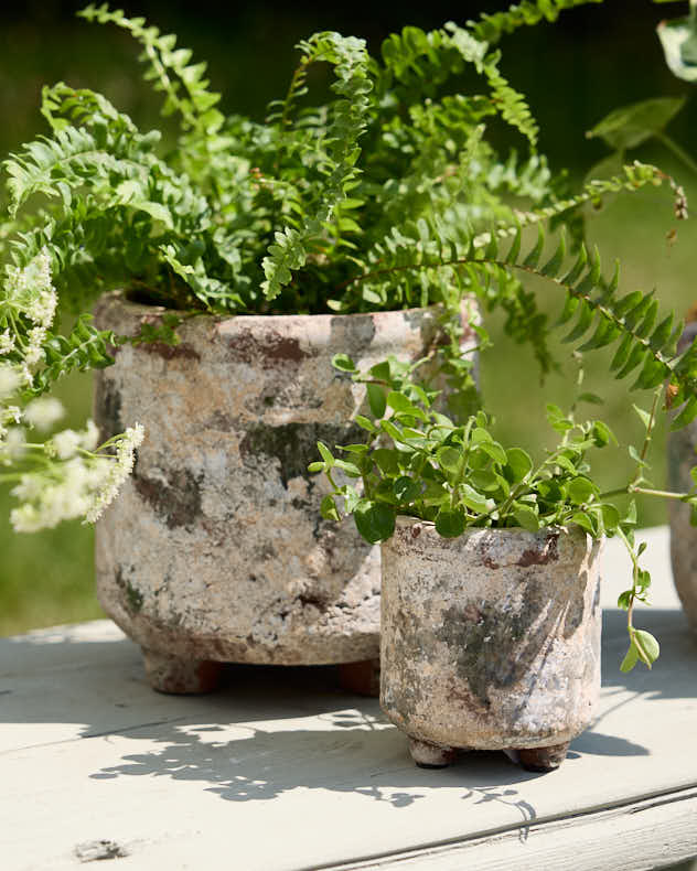 Earthy Terracotta Footed Planters