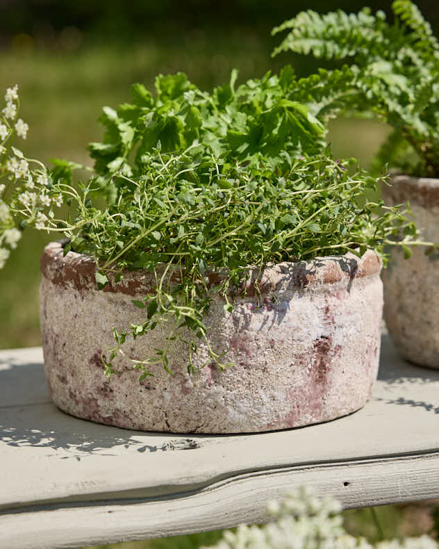 Textured Brown Terracotta Planter Bowl