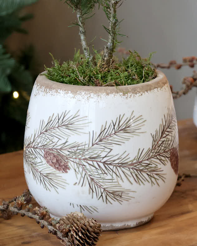 Pinewood Forest Ceramics Collection