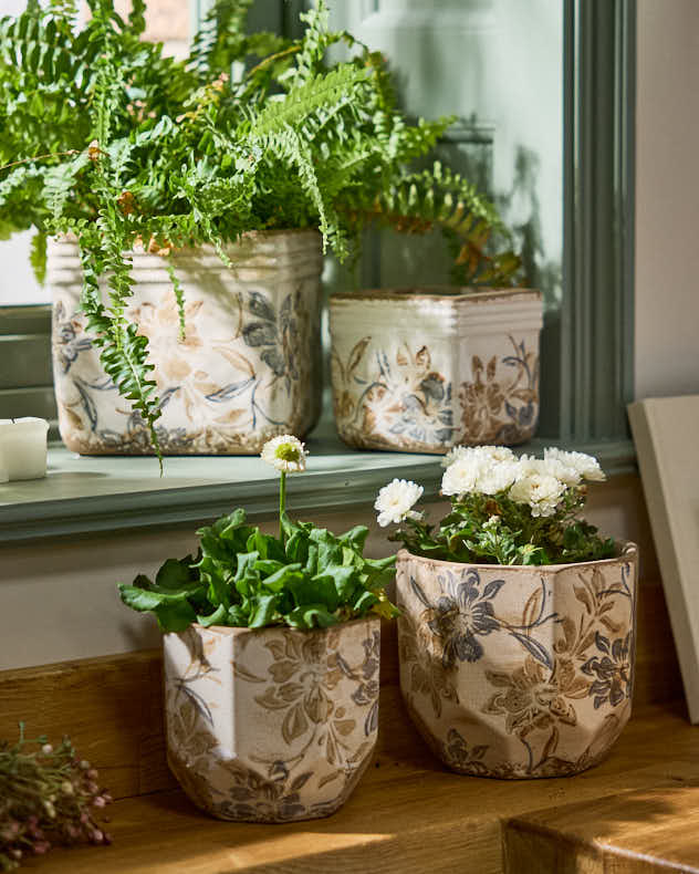 Ivory and Blue Planter Collection