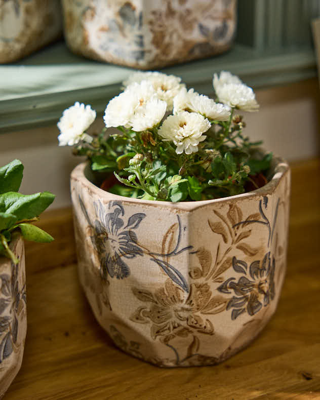 Ivory and Blue Planter Collection