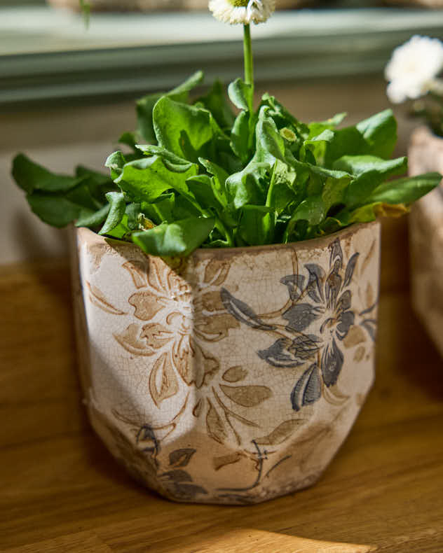 Ivory and Blue Planter Collection