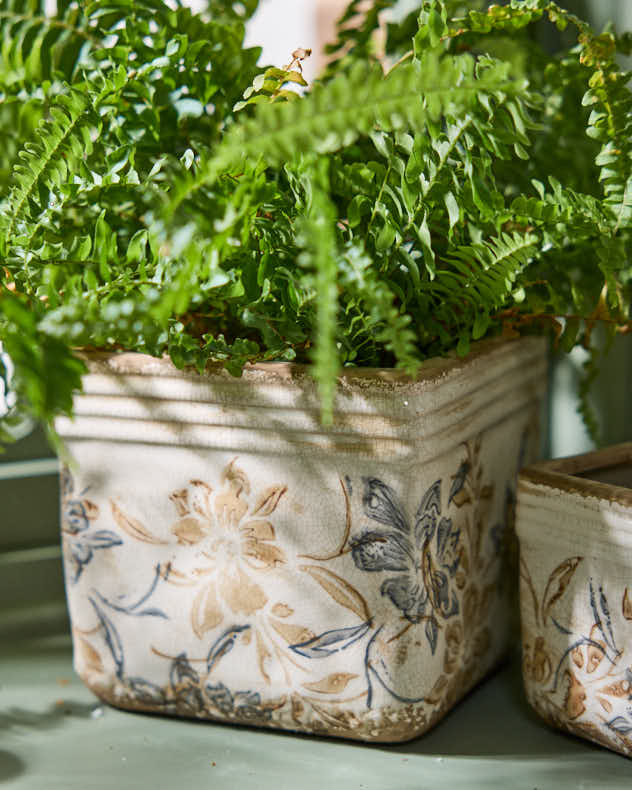 Ivory and Blue Planter Collection