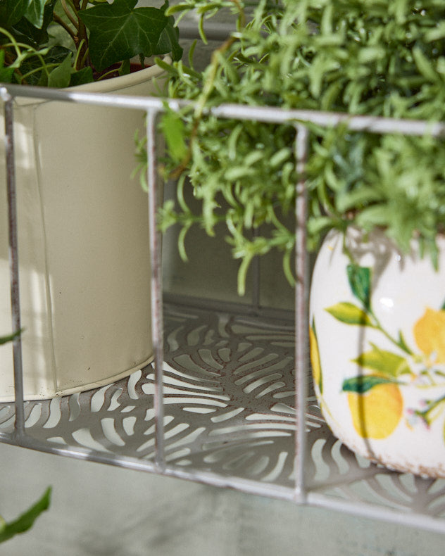Set of 2 Arched Iron Wall Planters