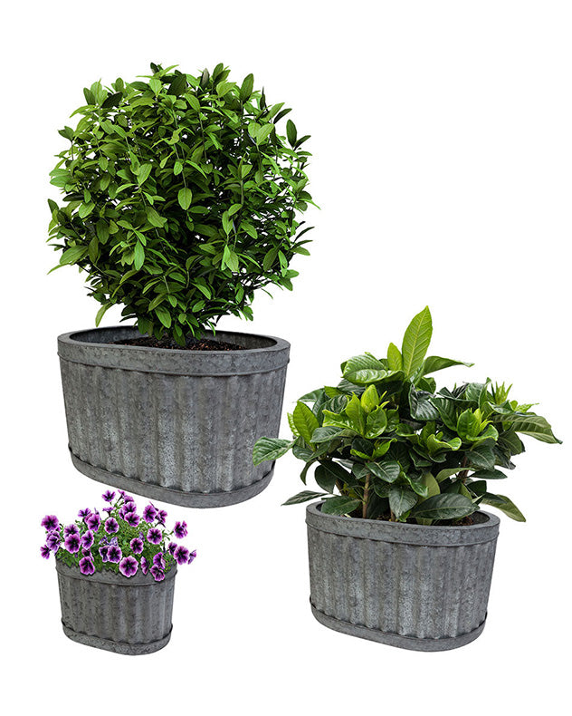 Set of 3 Oval Ribbed Planter Tubs
