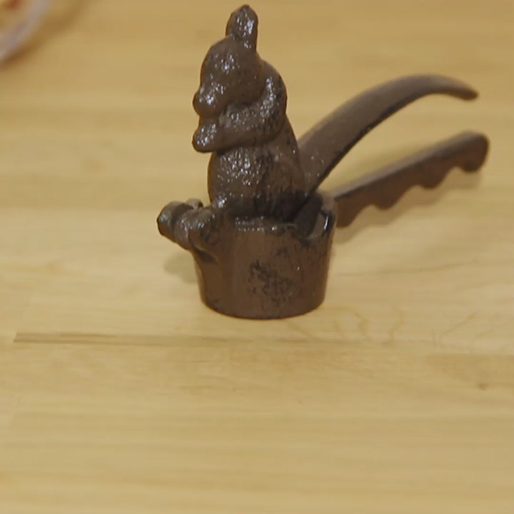 Squirrel Nutcracker video