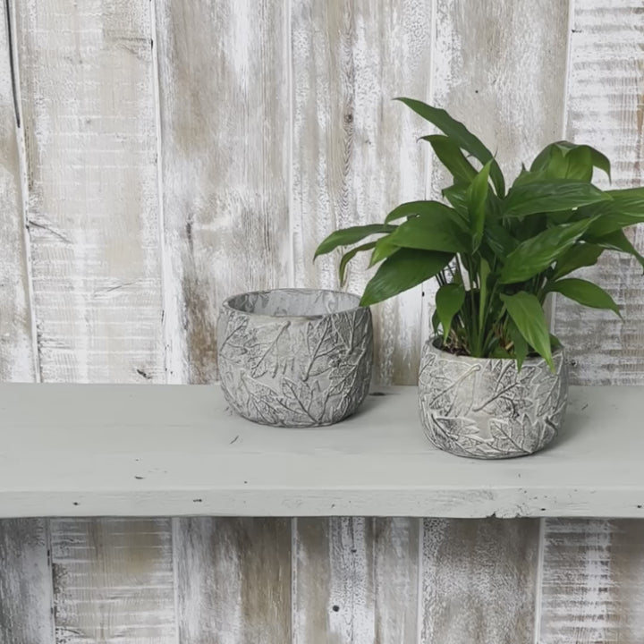 Daintree Small Plant Pot