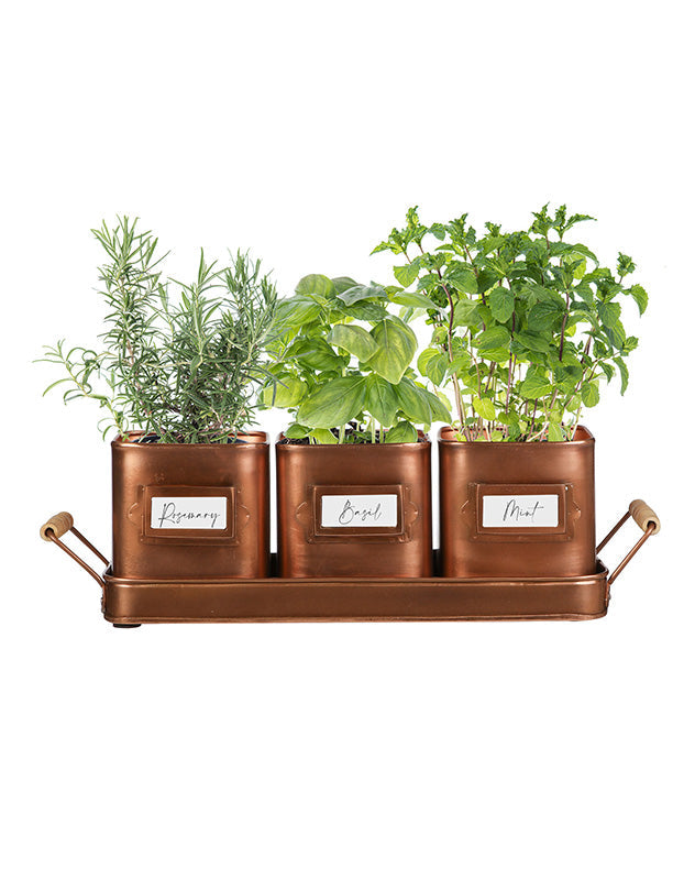 Set of 3 Antique Copper Finish Metal Herb Pots on Tray