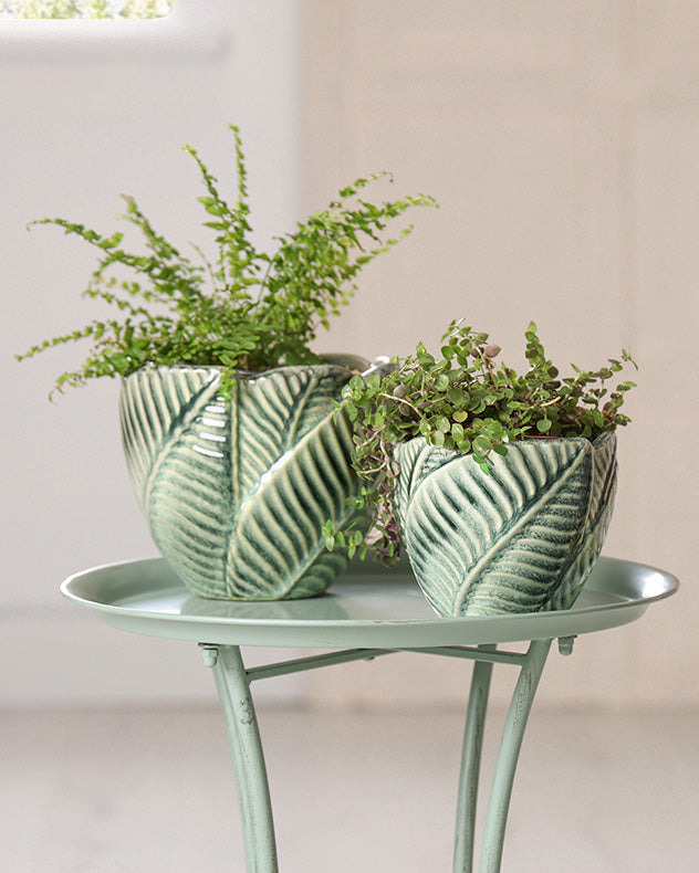 green ceramic planters
