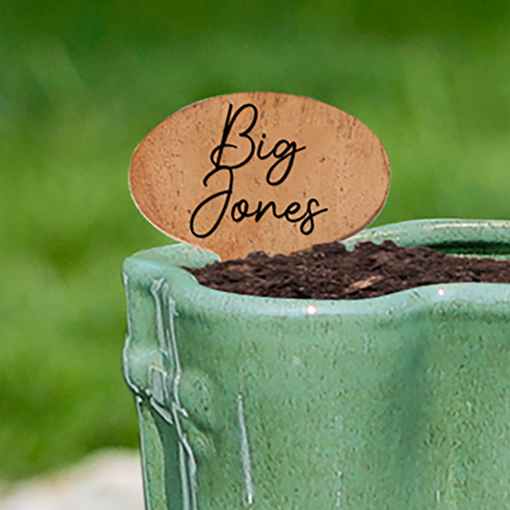 Green Welly Boot Planter with Personalised Marker