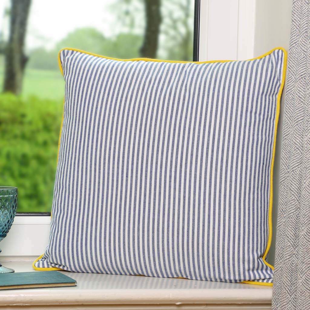blue stripe scatter cushion