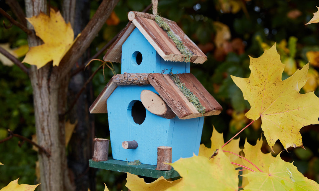 How to Attract Different Bird Species with Wooden Bird Houses?