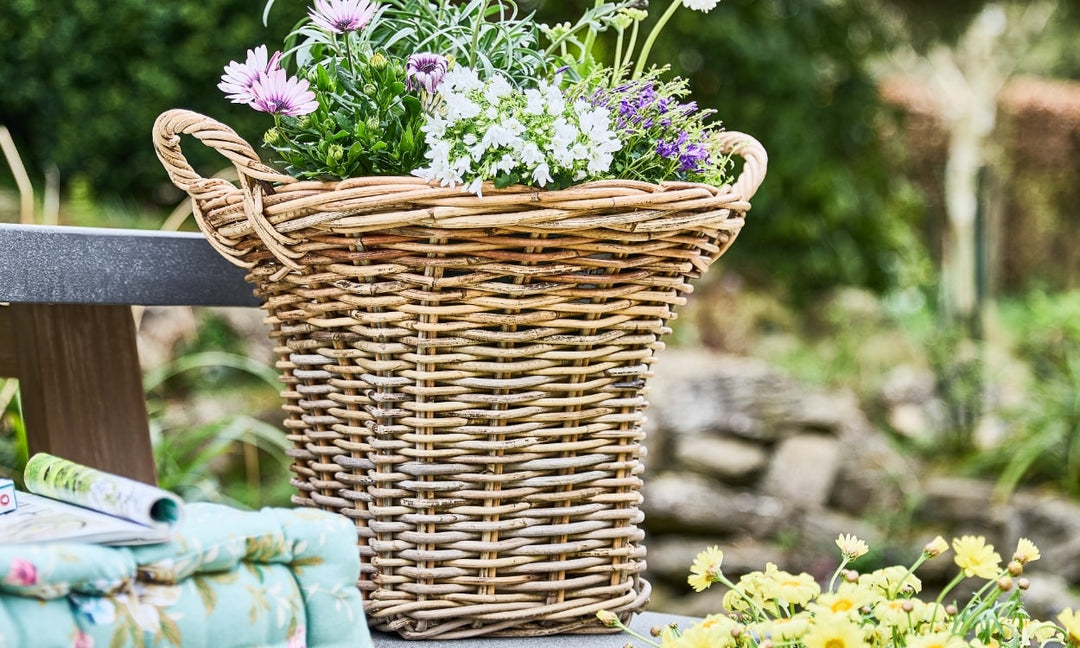Eco-Friendly Indoor Planters: Rattan, Seagrass, and More