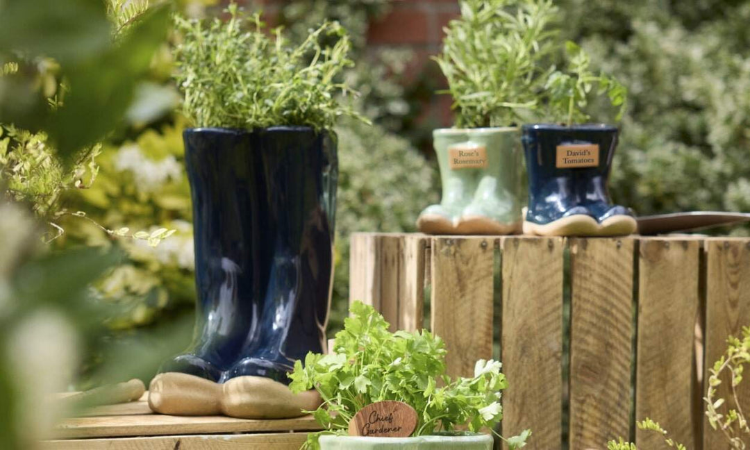 Easy Summer Garden Ideas UK for a Stylish Space
