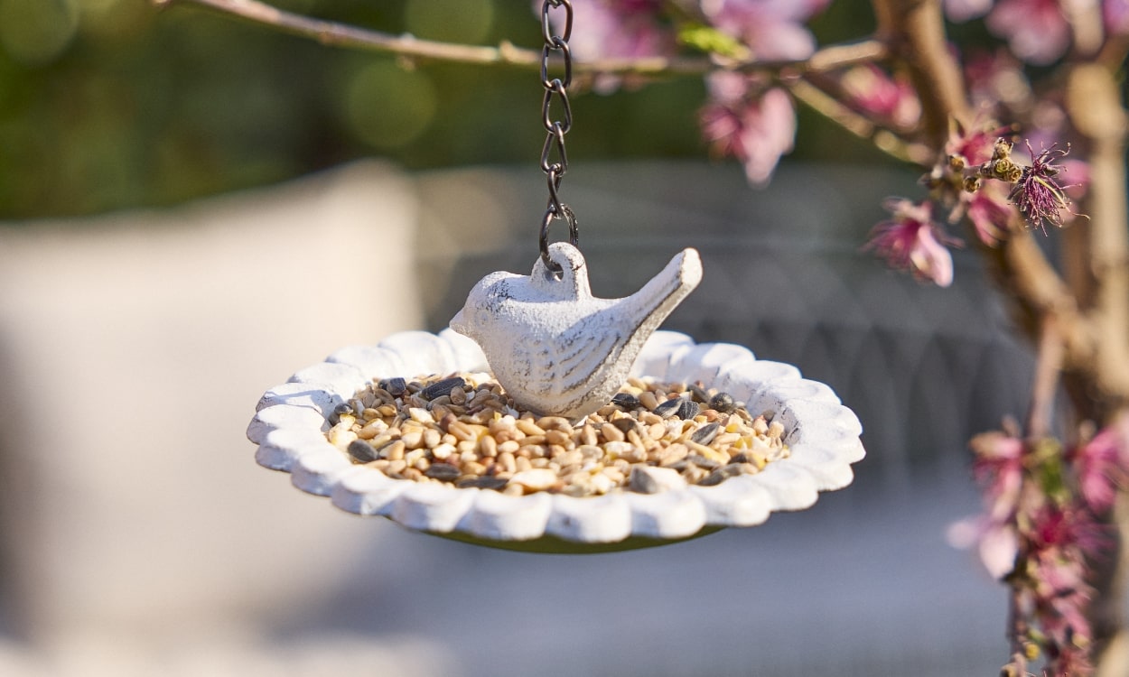 Must-Have Accessories to Beautify Your Garden