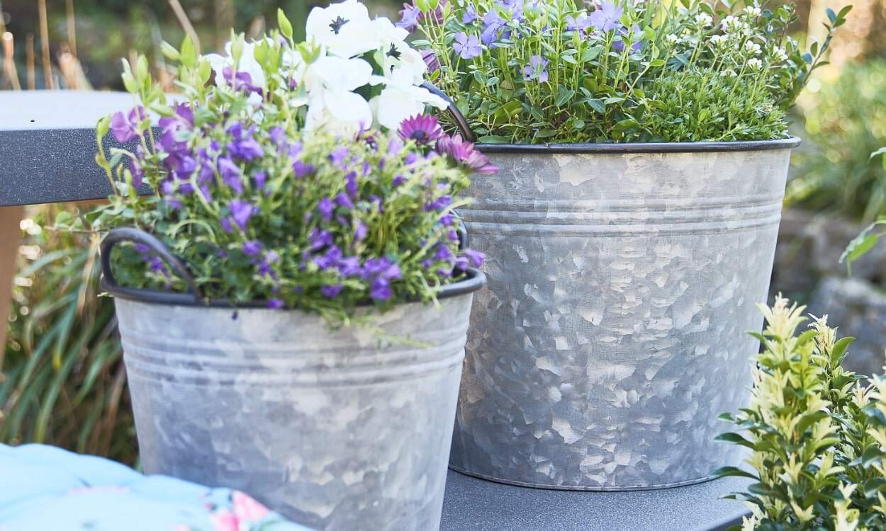 The Best Metal & Vintage Plant Pots for Modern Gardens