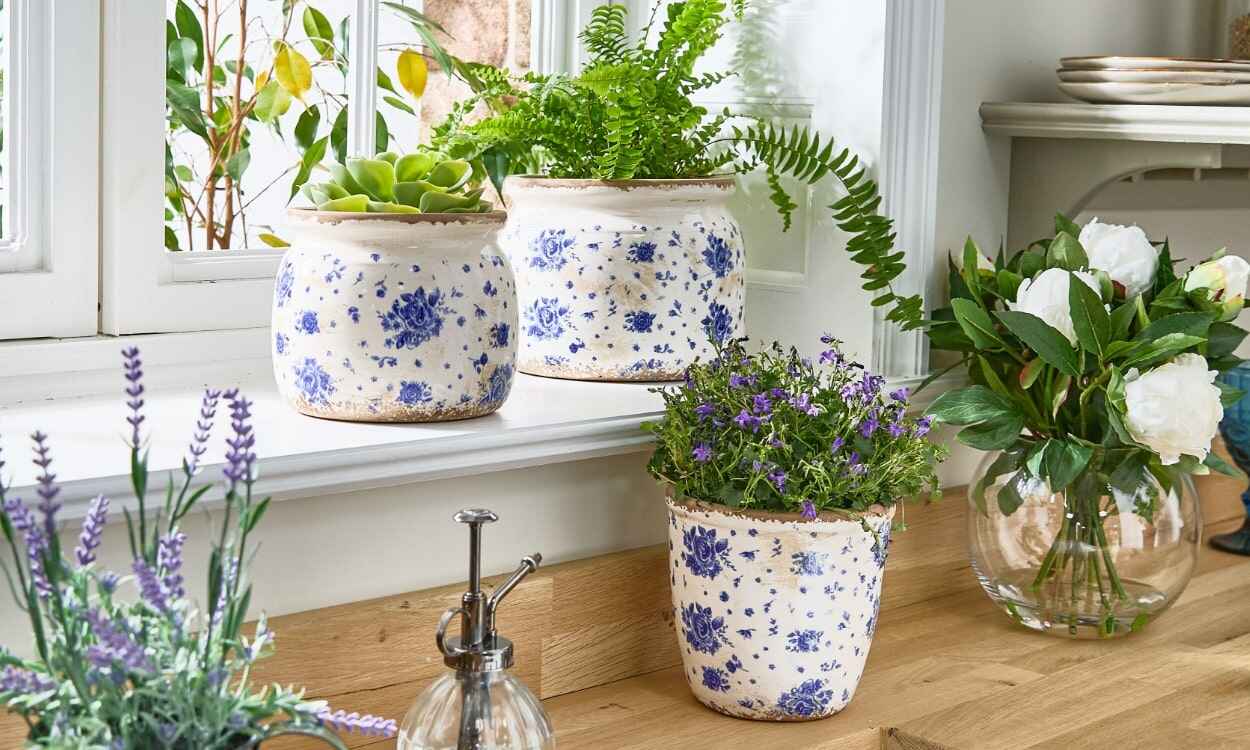 Stylish Indoor Plant Pots & Wall Planters for Homes