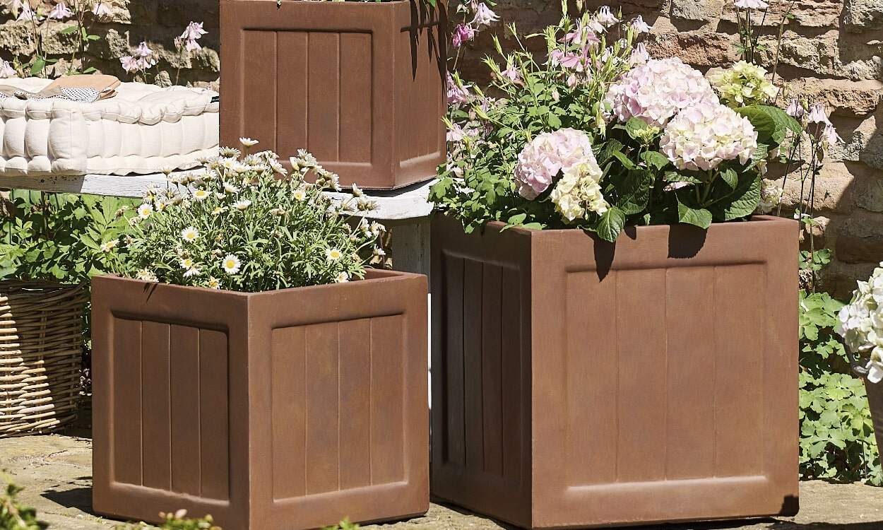 What Are the Best Gardening Tips for Spring