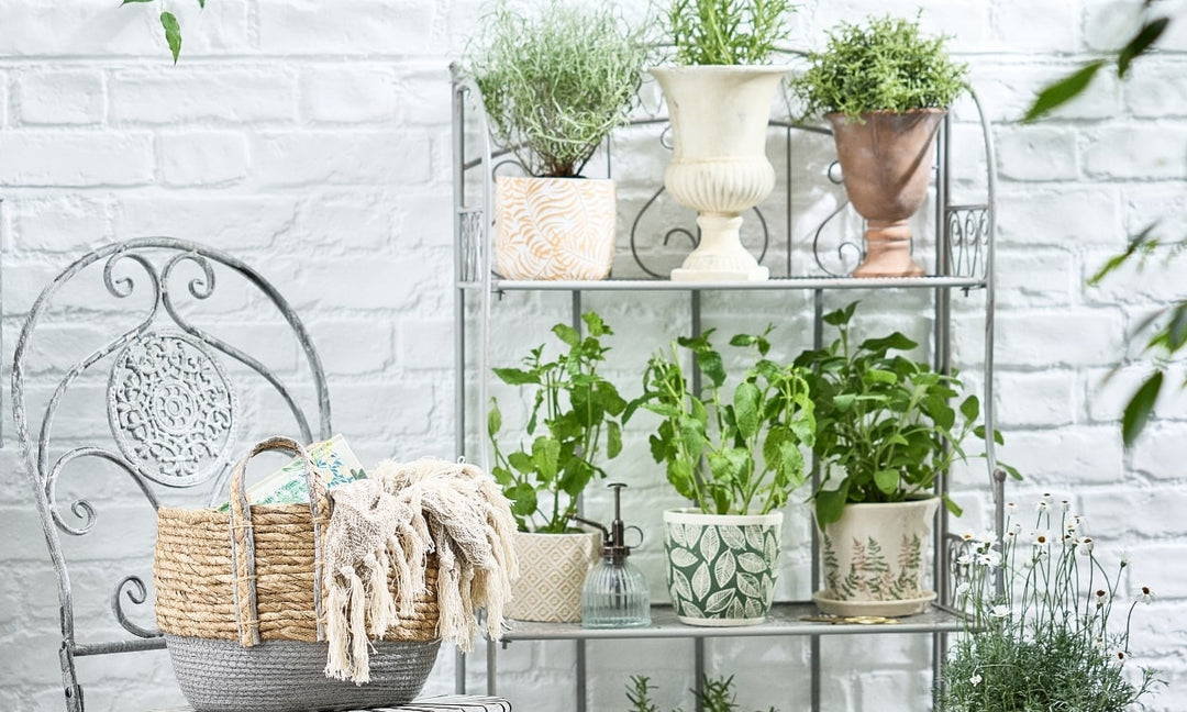 Wall Plant Holders Indoor: A Trendy Way to Bring Nature Inside!