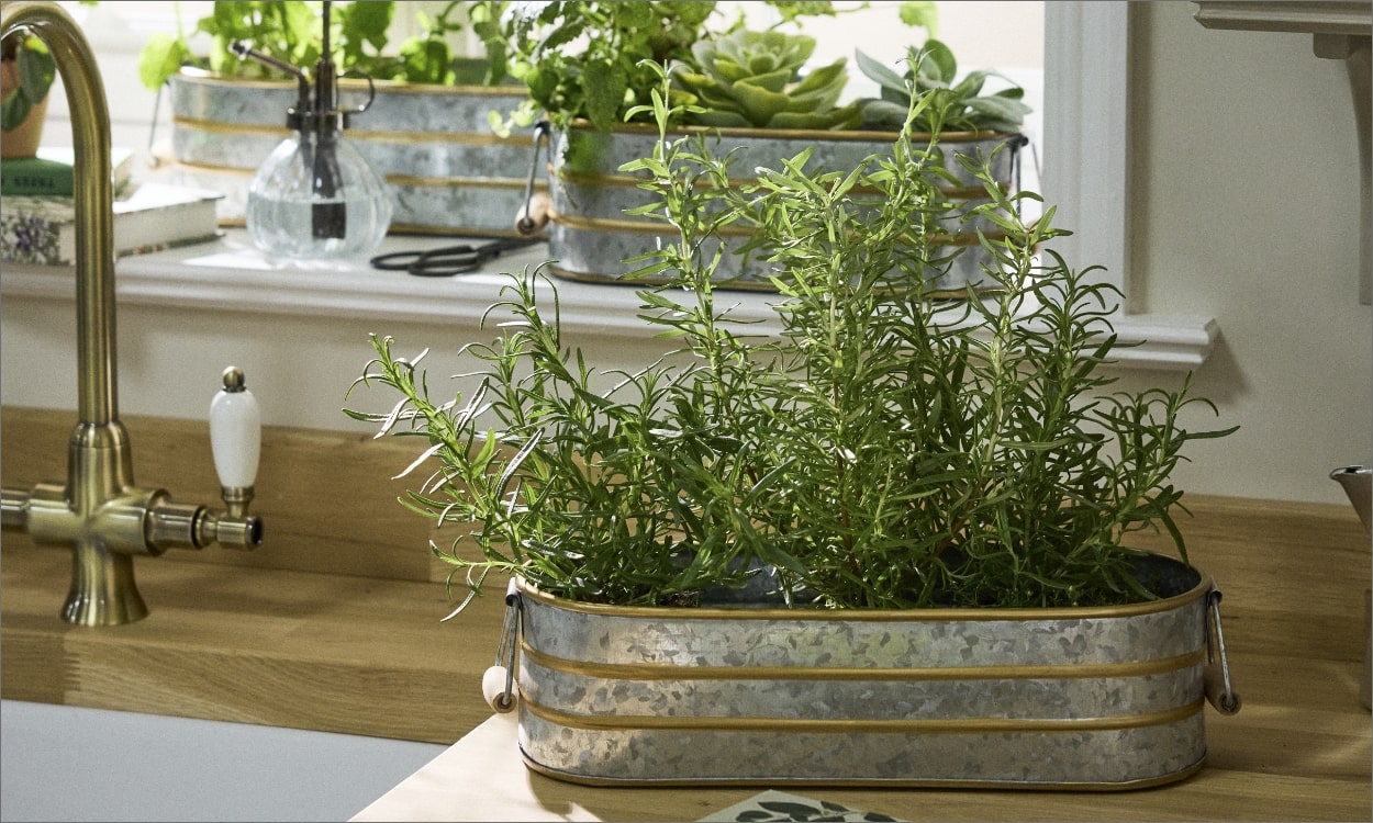 Unleash Your Inner Chef with Trendy Sage Kitchen Accessories