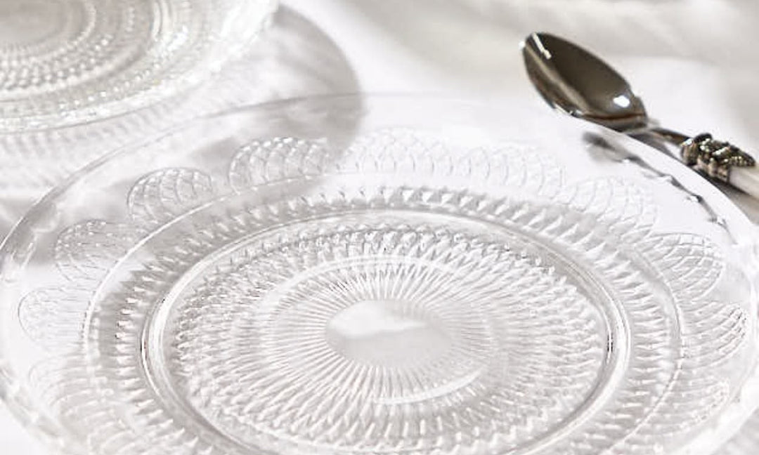 Dining Plates Set Essentials: Transform Your Table with Style and Functionality