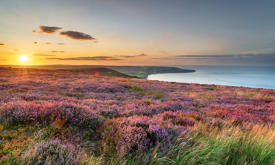 Happy Yorkshire Day!