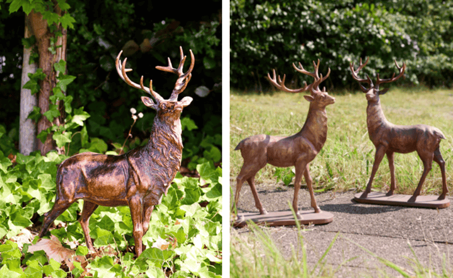Make Your Garden a Beautiful Haven During Autumn