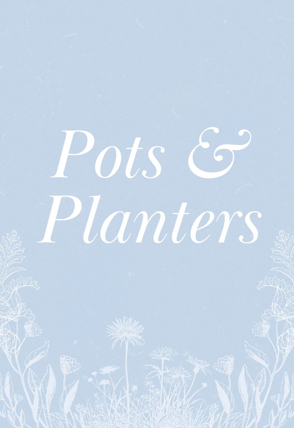 Summer Clearance - Pots And Planters