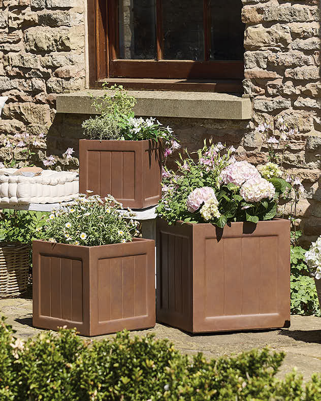 Black Friday - Garden