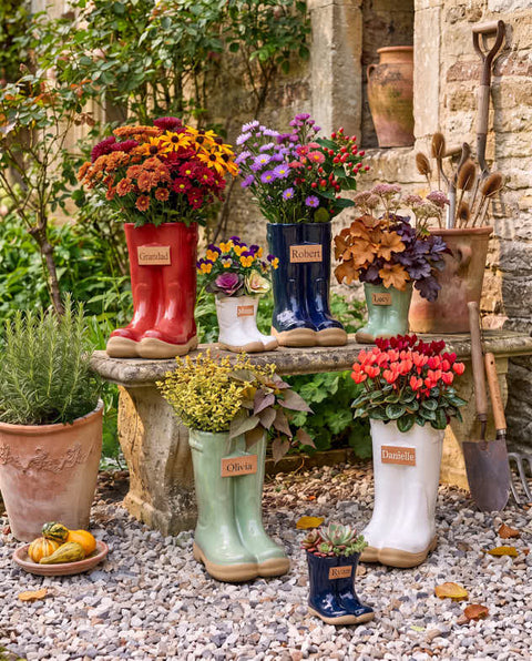 Pots & Planters