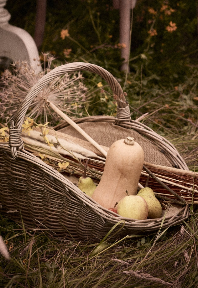 Autumn Harvest and Foraging