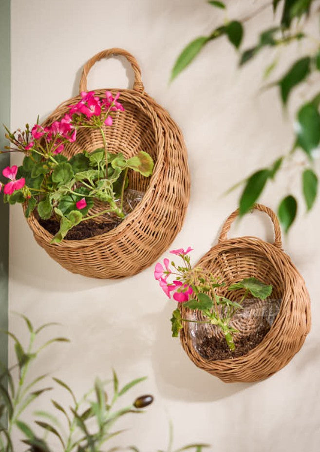 Wall Planters