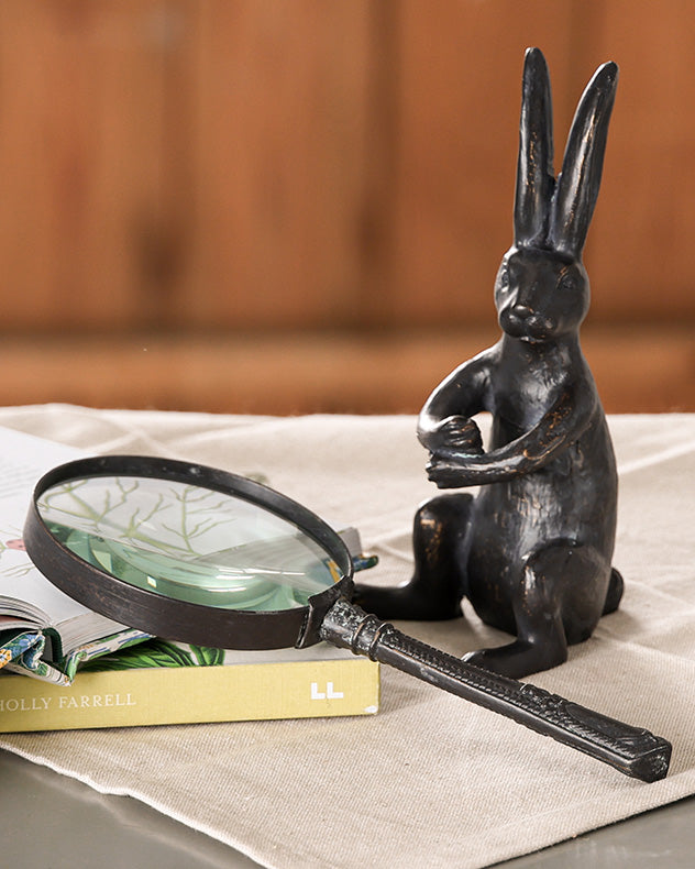 Mr Rabbit Magnifying Glass