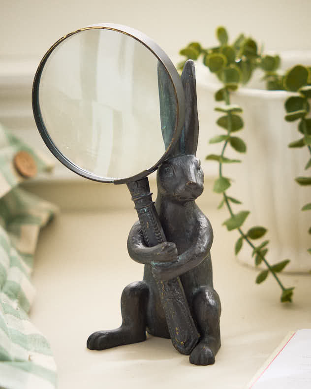 Mr Rabbit Magnifying Glass