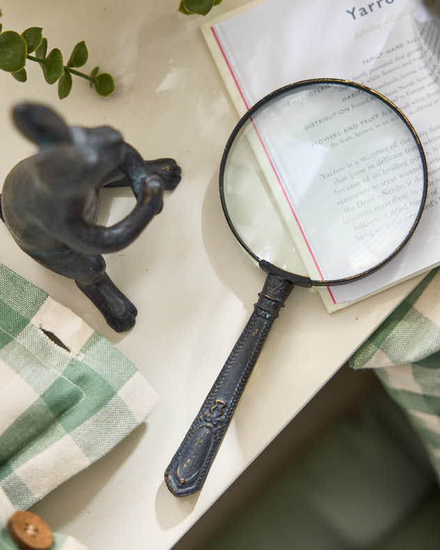 Mr Rabbit Magnifying Glass