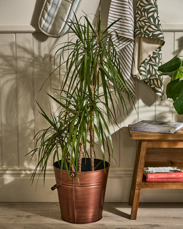 Antique Copper Bucket Planter