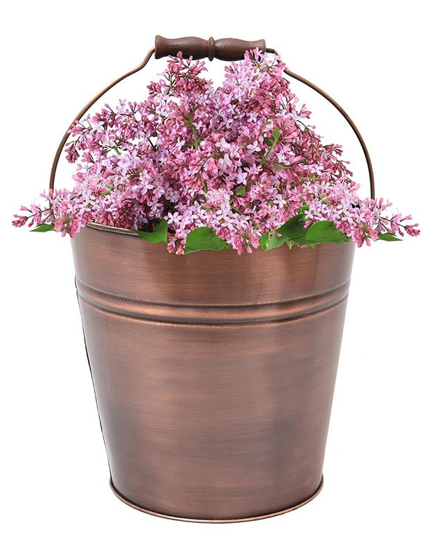 Antique Copper Bucket Planter