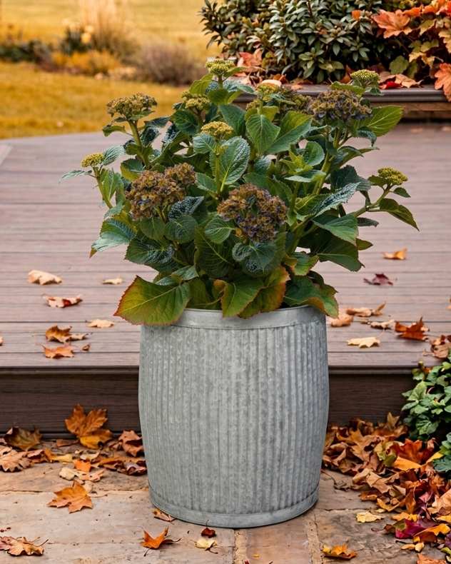 Set of 3 Ribbed Dolly Tub Barrel Planters