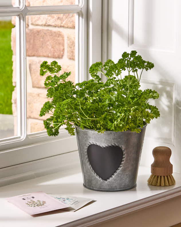 Pots &amp; Planters - Vintage Zinc Heart Flower Planter