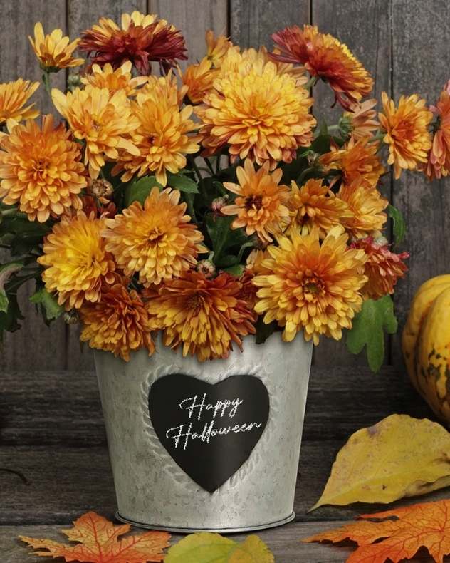 Happy Halloween Zinc Planter