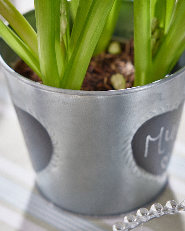 Pots &amp; Planters - Vintage Zinc Heart Flower Planter