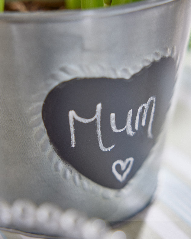 Pots & Planters - Vintage Zinc Heart Flower Planter